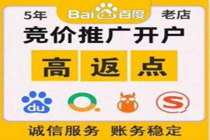 百度竞价SEM案例研究：提升转化率的关键策略